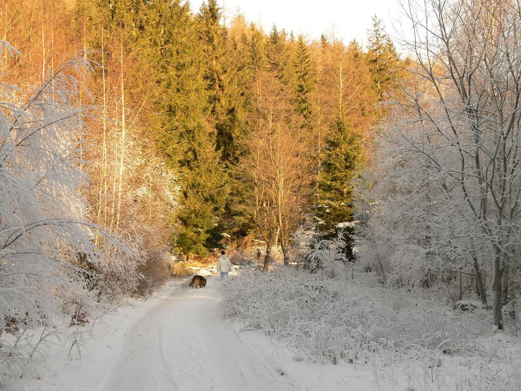 Vila Zacisze Pod Smielcem Jagniątków Exteriér fotografie